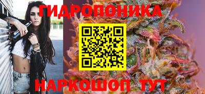 стаф Волжск