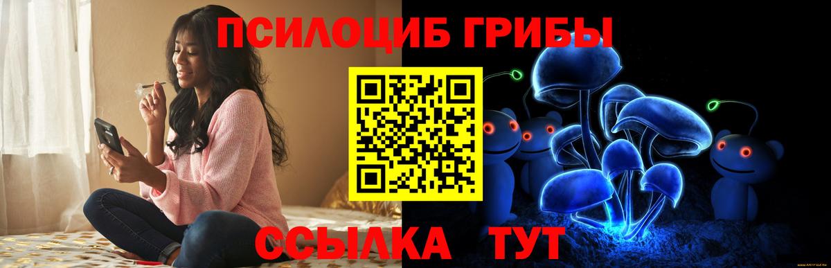 Галлюциногенные грибы Cubensis Курчатов